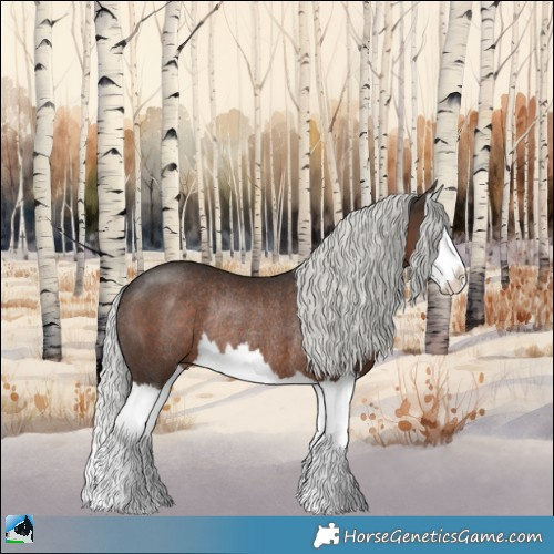 Horse Color:Liver Chestnut Mushroom Splash Rabicano 