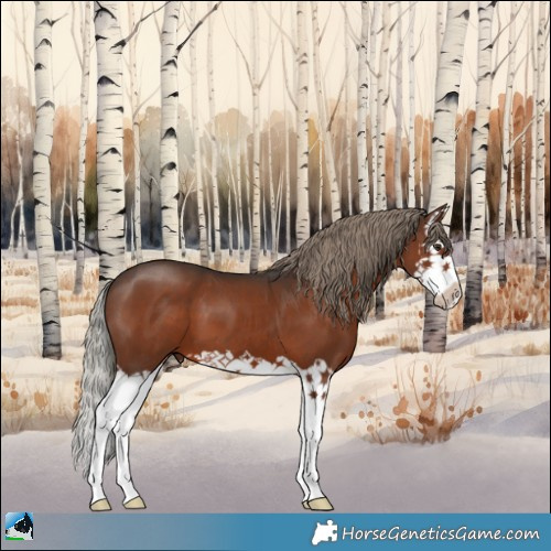 Horse Color:Liver Chestnut Mushroom Splash 