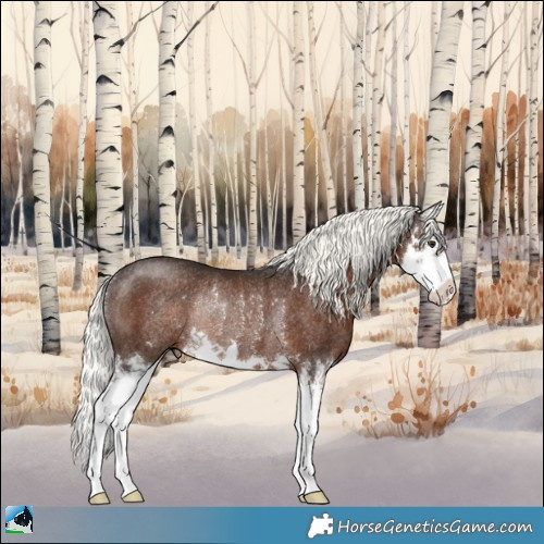 Horse Color:Liver Chestnut Mushroom Splash Rabicano 