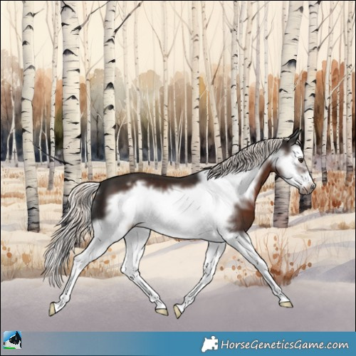 Horse Color:Liver Chestnut Mushroom Splash Frame 