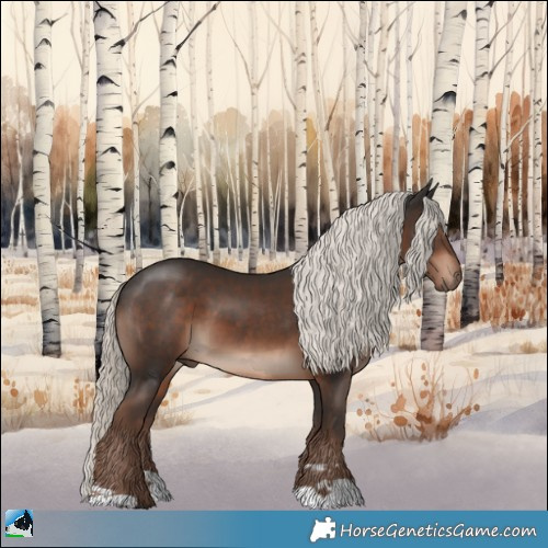 Horse Color:Liver Chestnut Mushroom 