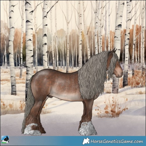 Horse Color:Liver Chestnut Mushroom Rabicano 