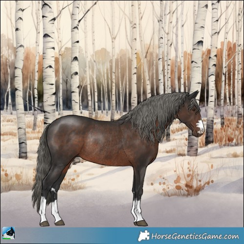 Horse Color:Liver Chestnut Mushroom Rabicano 