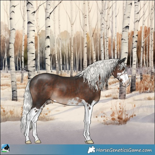 Horse Color:Liver Chestnut Mushroom Splash 