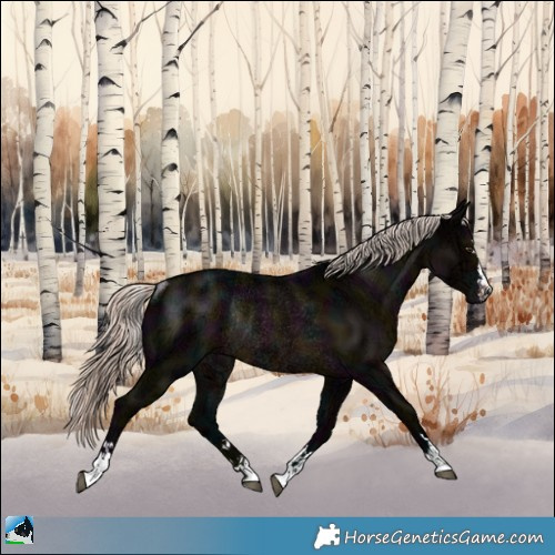 Horse Color:Midnight Liver Chestnut Ice Mushroom Rabicano 