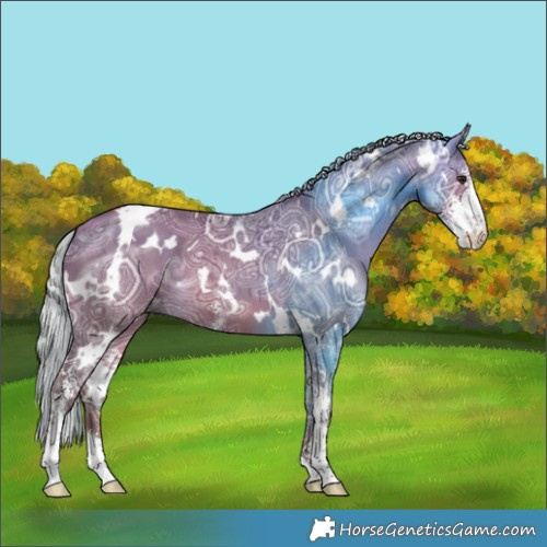 Horse Color:White Spotted Silver Brown Ice Dun Sabino 