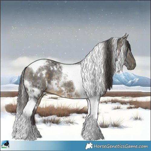 Horse Color:White Spotted Buckskin Ice Tobiano Rabicano 