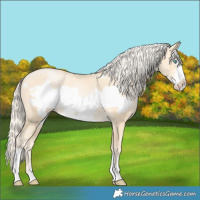 Horse Color:Gold Cream Champagne Pearl Frame 
