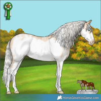 Horse Color:Silver Smoky Black Pearl Sabino Frame 