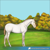 Horse Color:Smoky Grullo Roan Pearl 