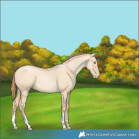 Horse Color:Smoky Grullo Pearl 