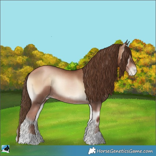 Horse Color:Liver Red Onyx Pearl Rabicano 