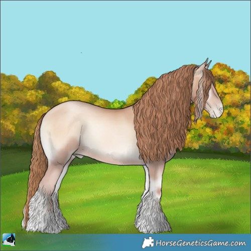 Horse Color:Gold Champagne Pearl Onyx Tobiano Rabicano 