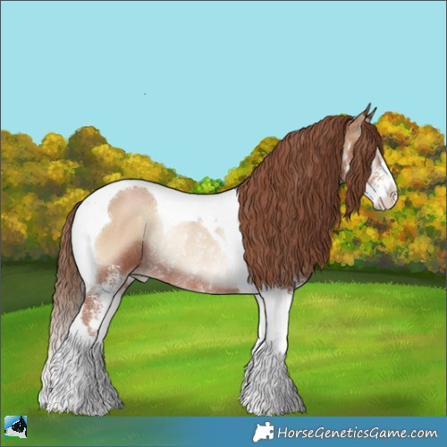Horse Color:Blue Onyx Pearl Sabino Tobiano Rabicano 
