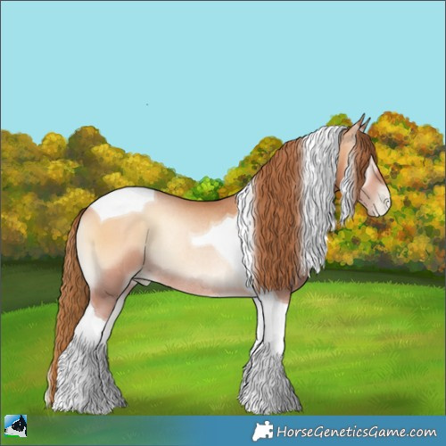 Horse Color:Bay Pearl Onyx Tobiano Rabicano 