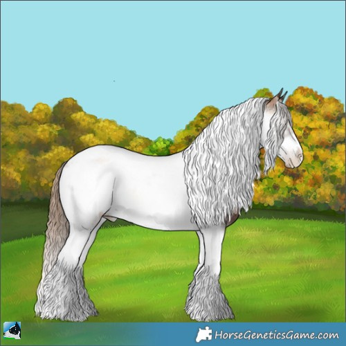 Horse Color:Liver Red Onyx Pearl Tobiano Frame Rabicano 