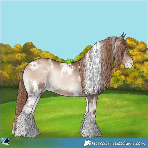 Horse Color:White Spotted Liver Red Onyx Pearl Rabicano 
