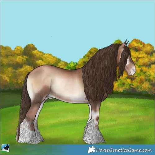 Horse Color:Liver Red Onyx Pearl Rabicano 