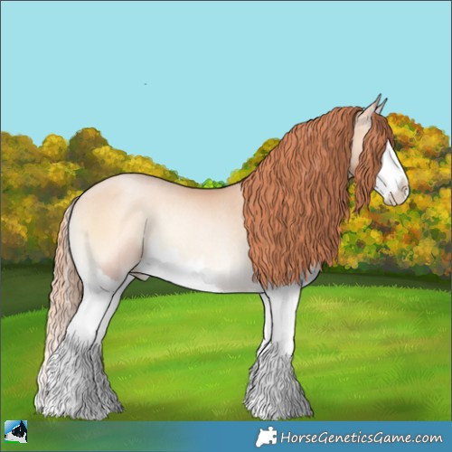 Horse Color:Classic Champagne Pearl Onyx Splash Rabicano 