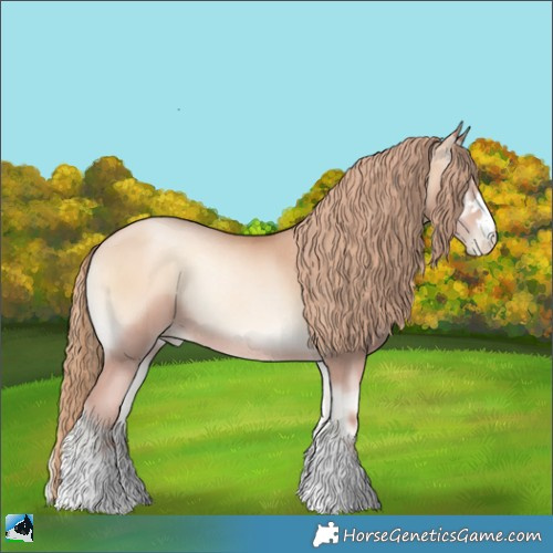 Horse Color:Gold Champagne Pearl Onyx Rabicano 