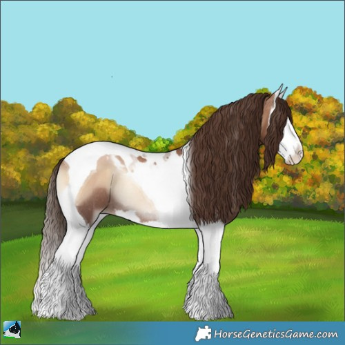 Horse Color:Liver Red Onyx Pearl Splash Tobiano Rabicano 