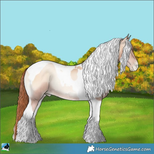 Horse Color:Sable Champagne Pearl Onyx Tobiano Rabicano 