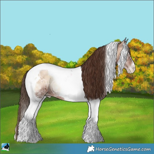 Horse Color:Brown Ice Pearl Onyx Tobiano 