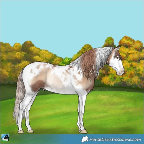 Horse Color:Liver Red Onyx Pearl Splash Tobiano Rabicano 