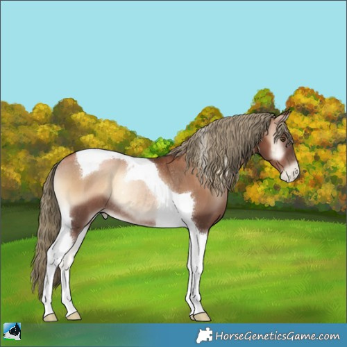 Horse Color:Liver Red Onyx Pearl Tobiano Rabicano 