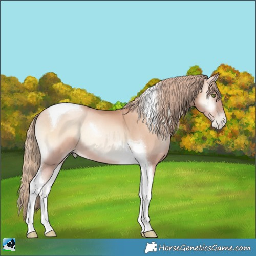 Horse Color:Gold Champagne Pearl Onyx Tobiano 