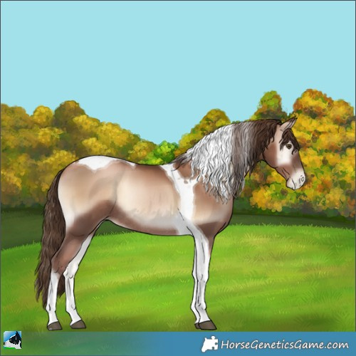 Horse Color:Liver Red Onyx Pearl Tobiano Rabicano 