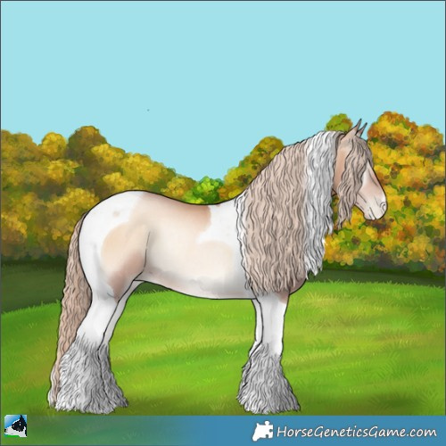 Horse Color:Gold Champagne Pearl Onyx Tobiano Rabicano 