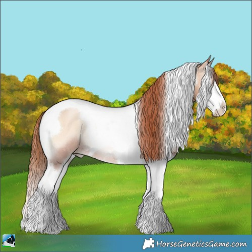 Horse Color:Sable Champagne Pearl Onyx Splash Tobiano Rabicano 