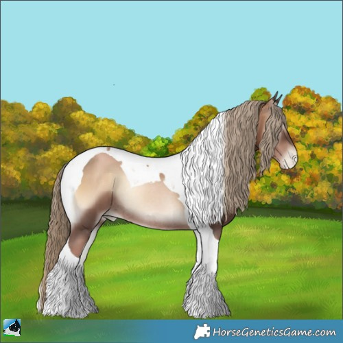 Horse Color:Liver Red Onyx Pearl Tobiano Rabicano 