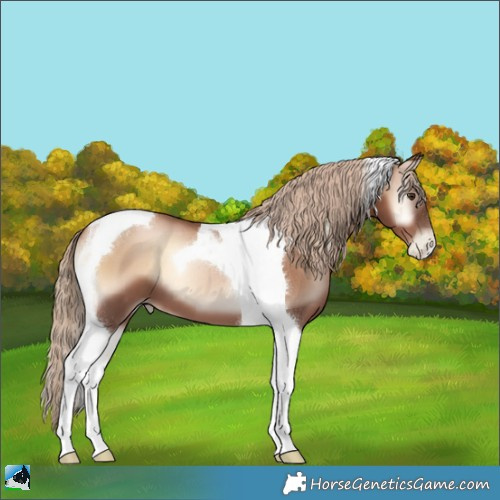 Horse Color:Liver Red Onyx Pearl Tobiano 