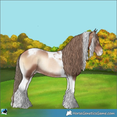 Horse Color:Liver Red Onyx Pearl Tobiano Rabicano 