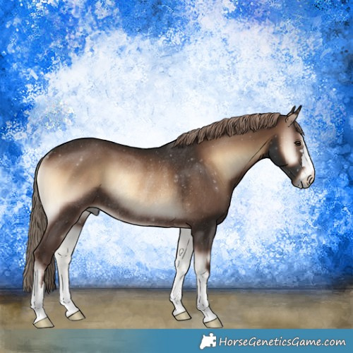 Horse Color:Liver Red Onyx Rabicano 