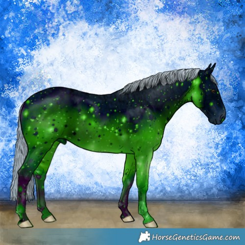 Horse Color:ERROR: UNKNOWN ANOMALY