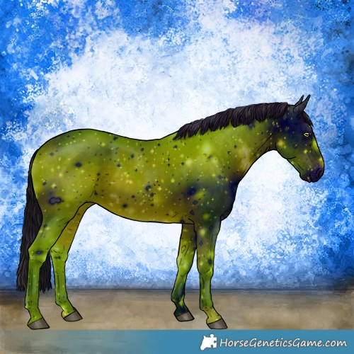 Horse Color:ERROR: UNKNOWN ANOMALY