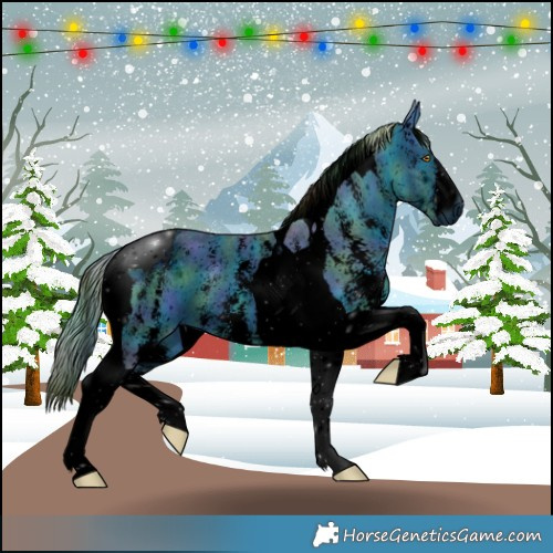 Horse Color:ERROR: UNKNOWN ANOMALY