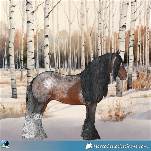 Horse Color:White Spotted Brown Ice Rabicano 