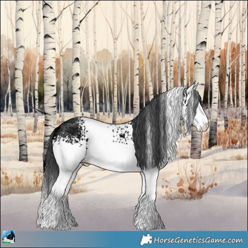 Horse Color:White Spotted Black Ice 