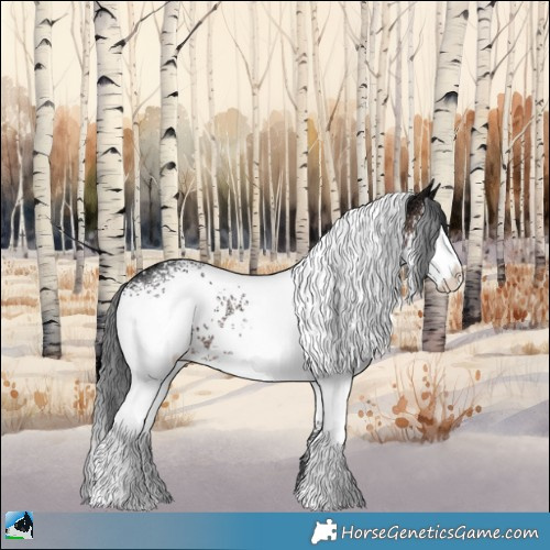 Horse Color:White Spotted Brown Ice Rabicano 