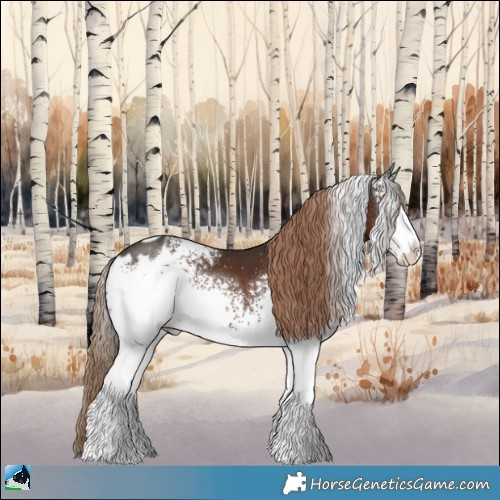 Horse Color:White Spotted Liver Chestnut Appaloosa Rabicano 
