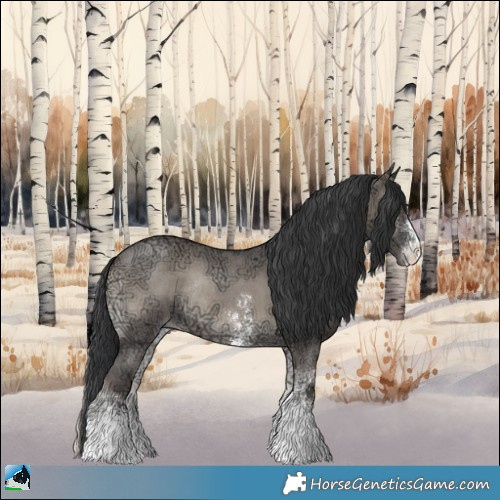 Horse Color:Grullo Ice Onyx Sabino Rabicano 