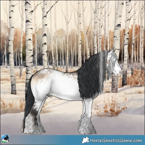 Horse Color:White Spotted Brown Onyx Rabicano 