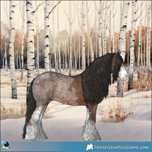 Horse Color:Liver Chestnut Ice Sabino Rabicano 