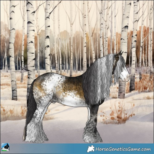 Horse Color:White Spotted Buckskin Ice Onyx Sabino Rabicano 