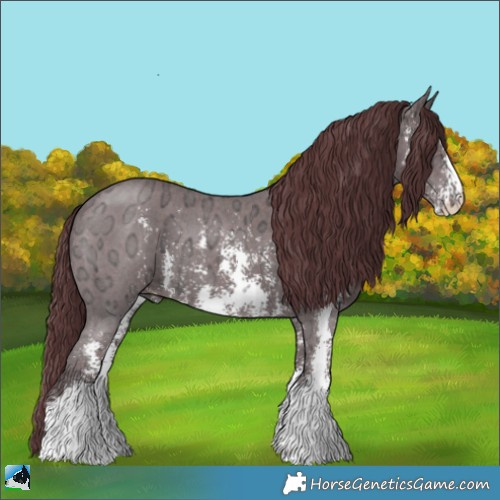 Horse Color:Chocolate Black Ice Sabino 