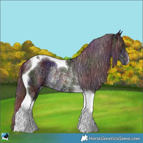 Horse Color:Nacre Chocolate Black Chinchilla Ice Tobiano Rabicano 